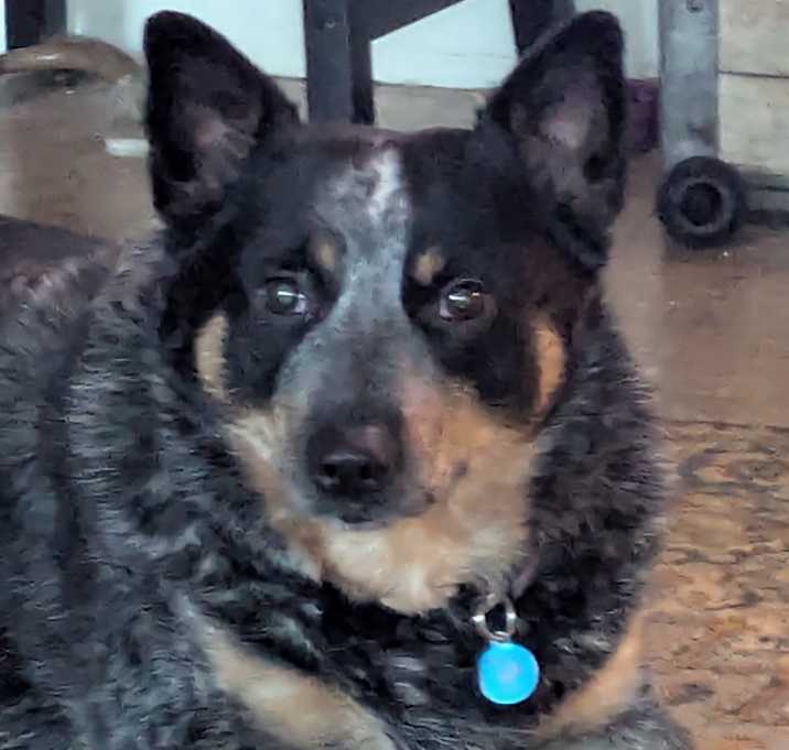 Photo of max
