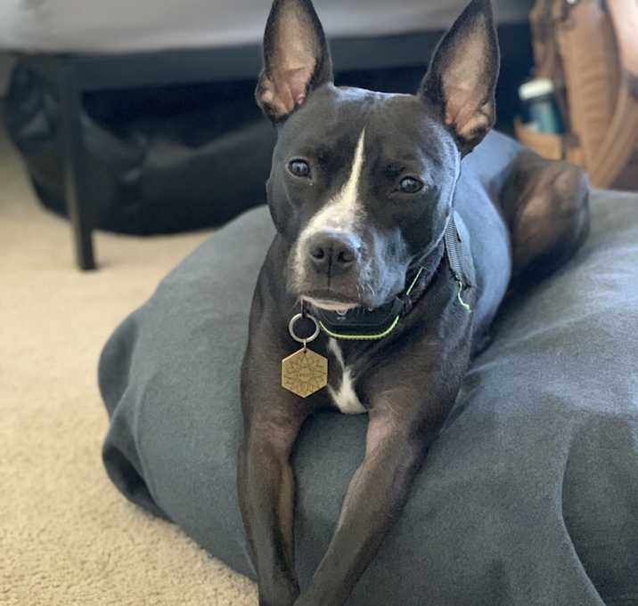 Photo of Rylee
