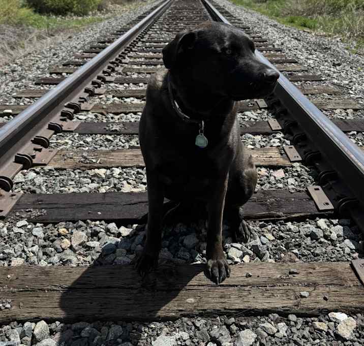 Photo of Cruiser