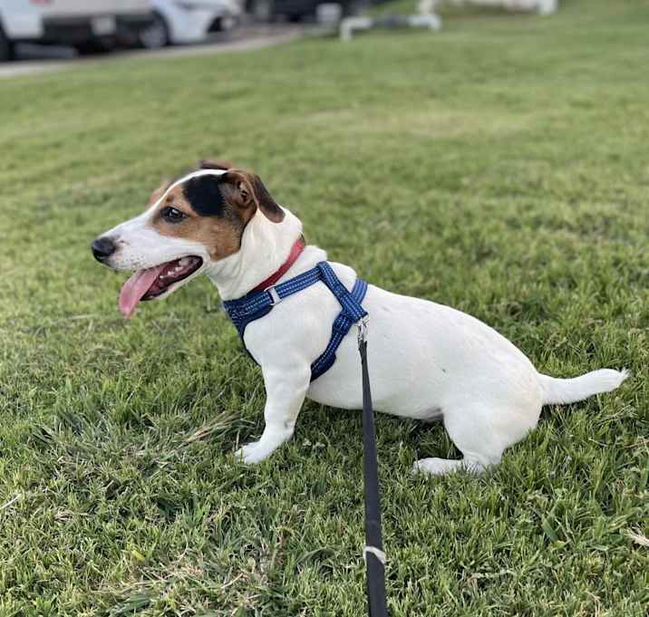 Photo of Benny