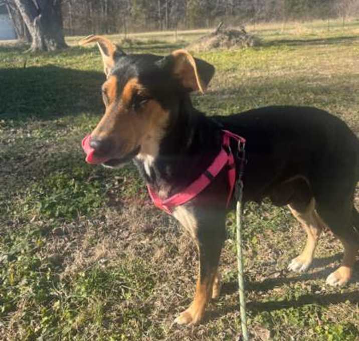 Photo of Maggie