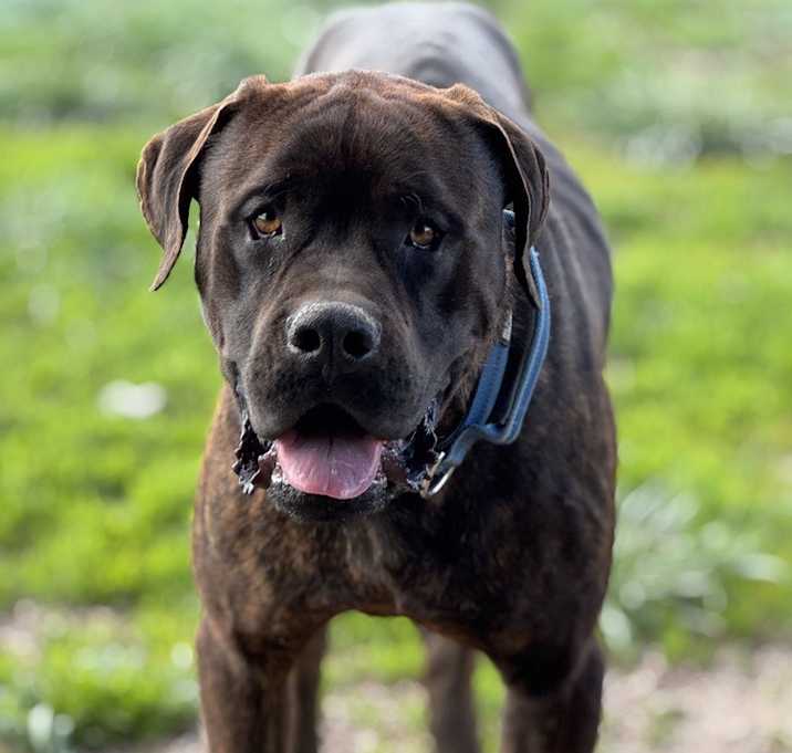 Photo of Clyde(sdale)