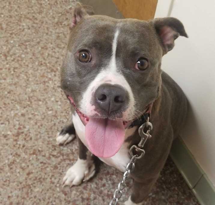 Photo of Roxy