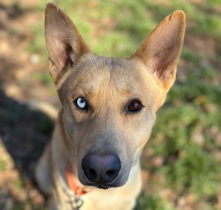 Photo of Atlas
