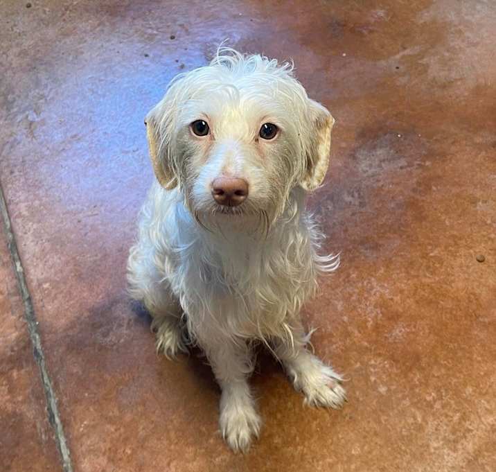 Photo of Cloud