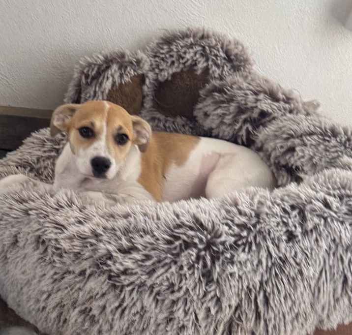 Photo of Mimi