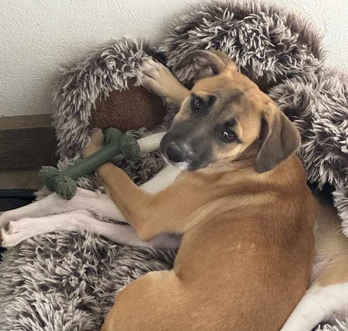 Photo of nellie