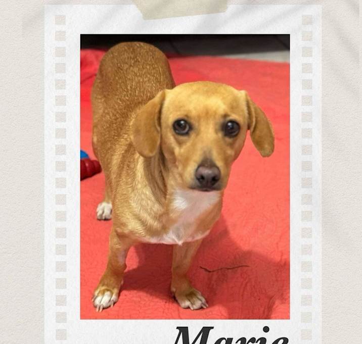 Photo of Marie