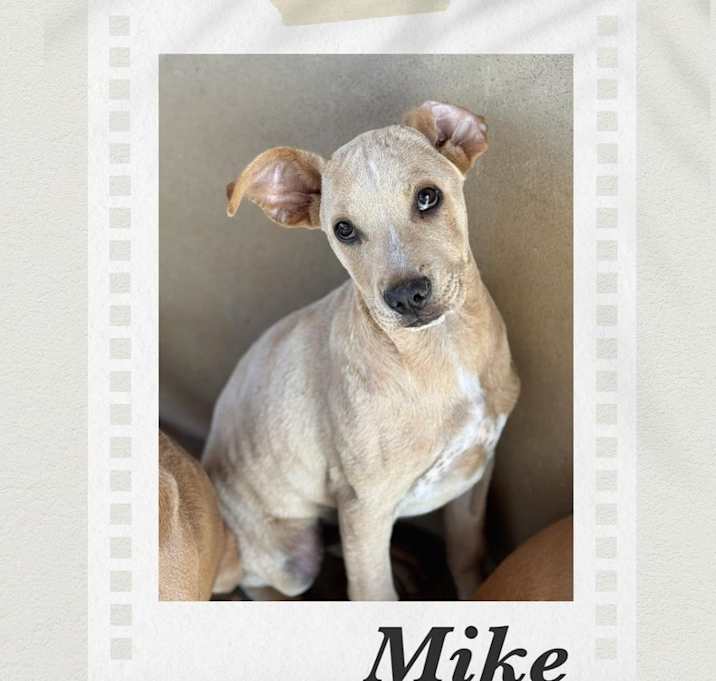 Photo of Mike