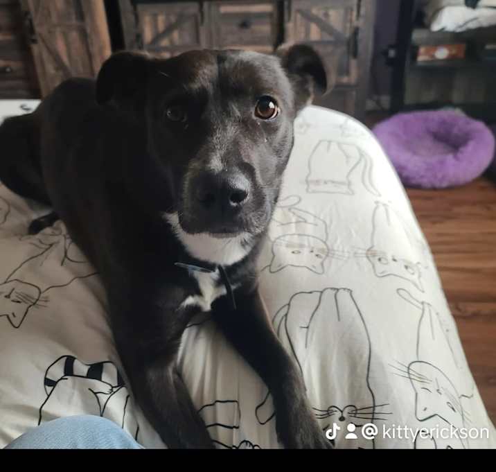 Photo of Morgan