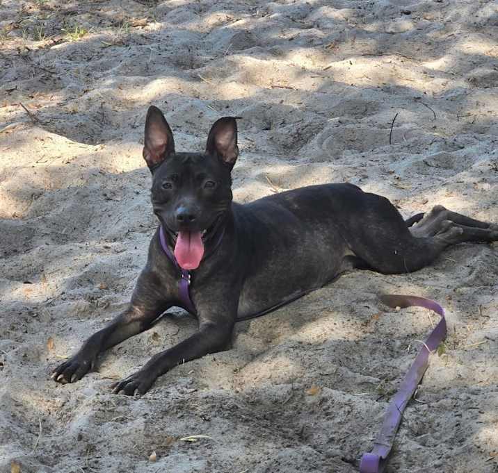 Photo of Diamond
