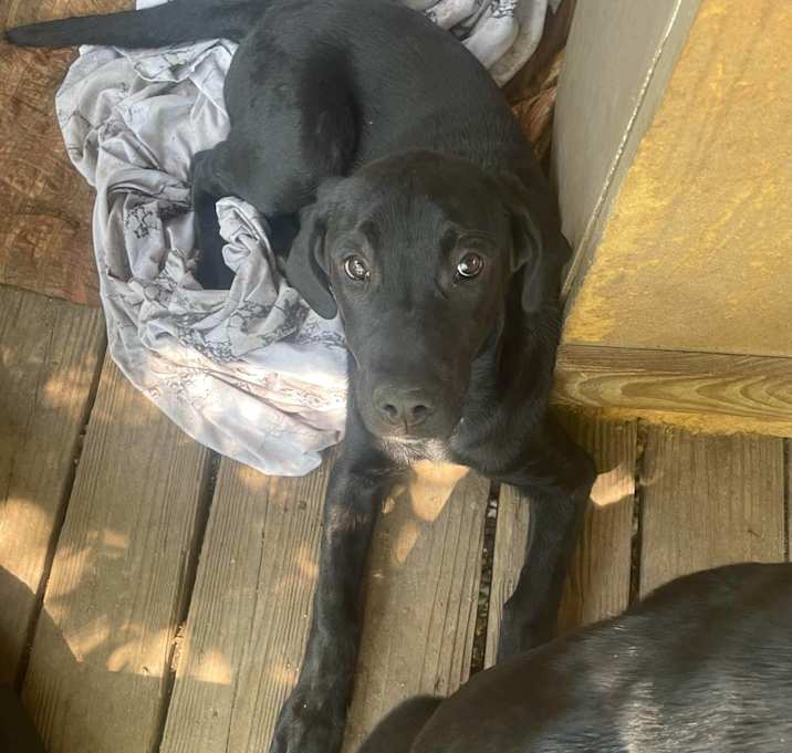 Photo of max