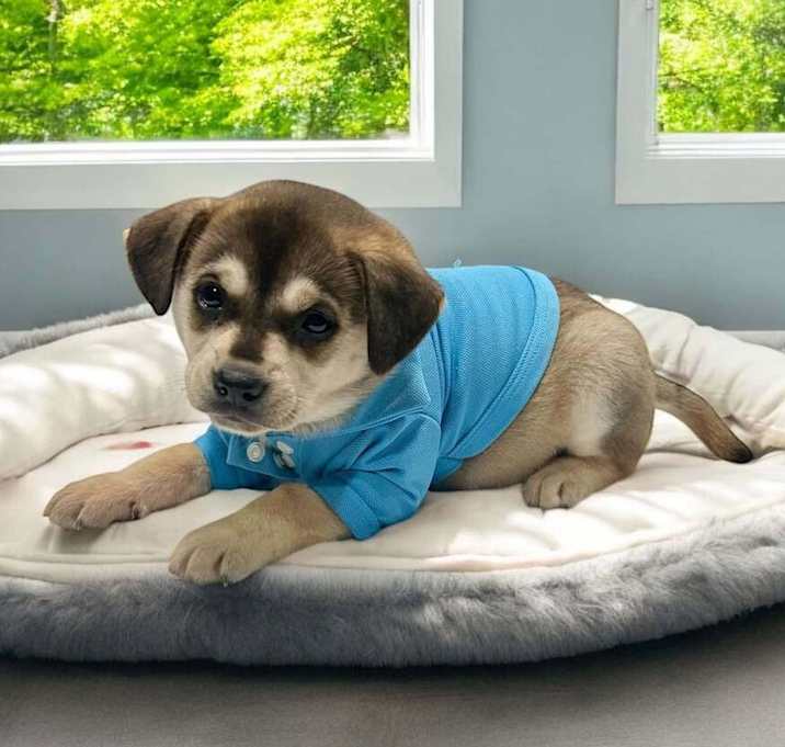 Photo of Taco