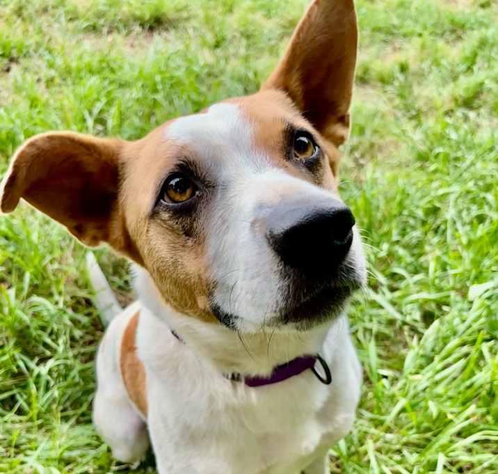 Photo of Sasha