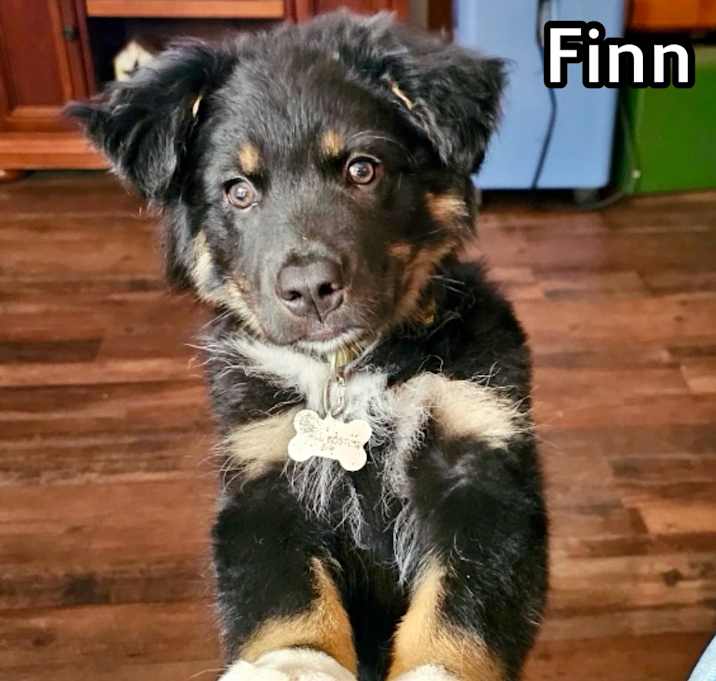 Photo of Finn