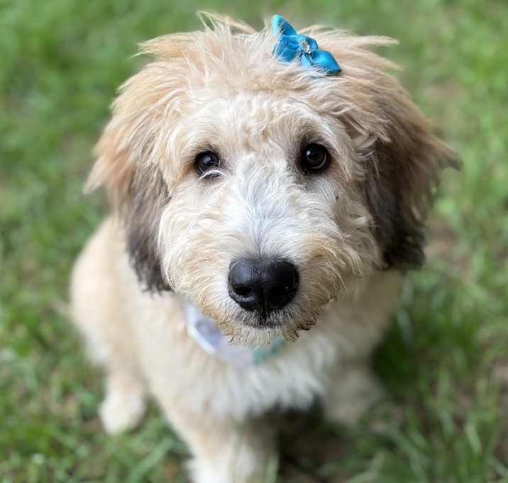 Photo of Happy