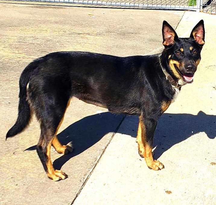 Photo of Macey