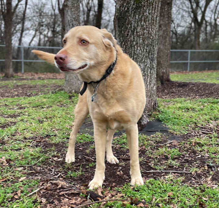 Photo of Max