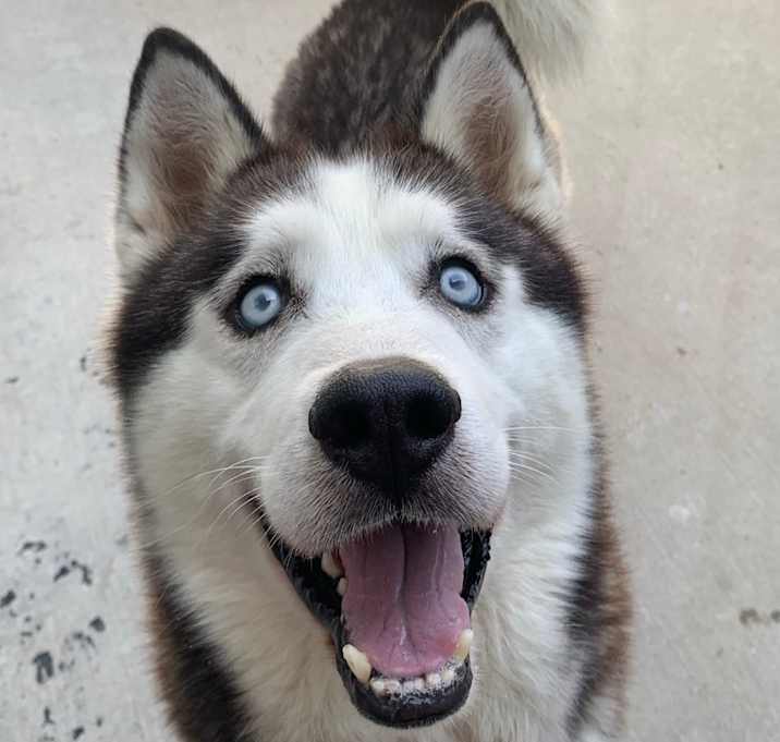Photo of Luca