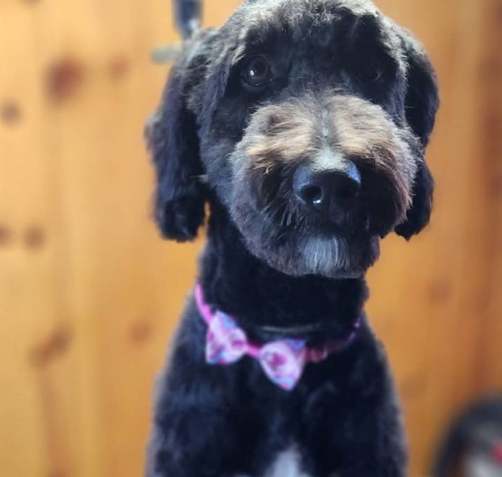 Photo of Edna