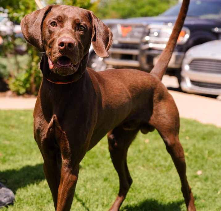 Photo of Ajax