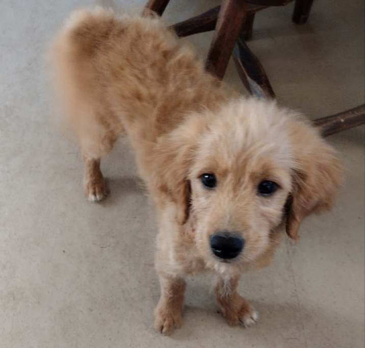 Photo of Susie