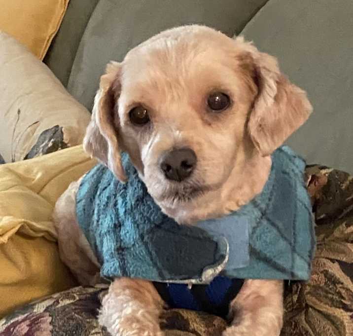 Photo of Happy