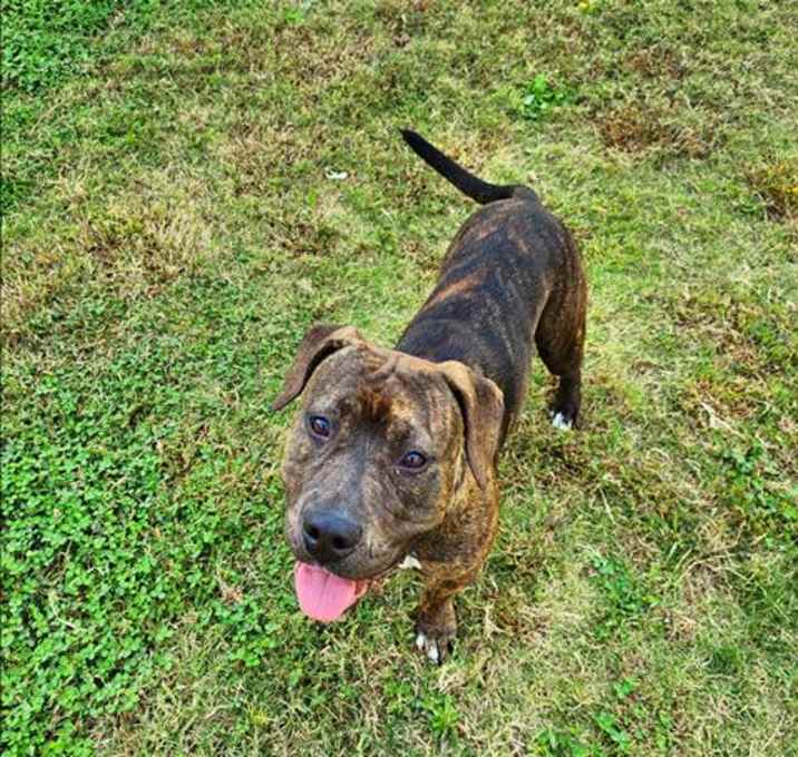 Photo of ATHENA