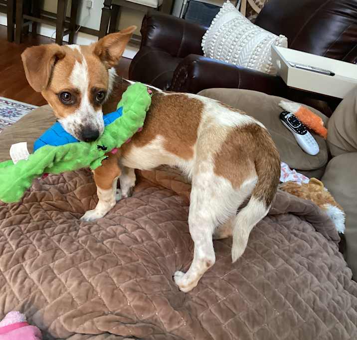 Photo of LilyBelle