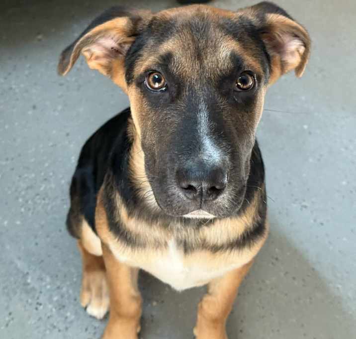 Photo of Elroy