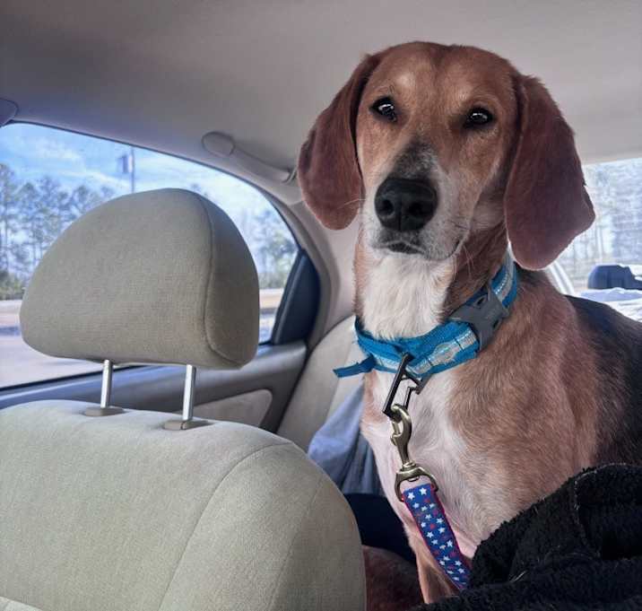 Photo of Jake