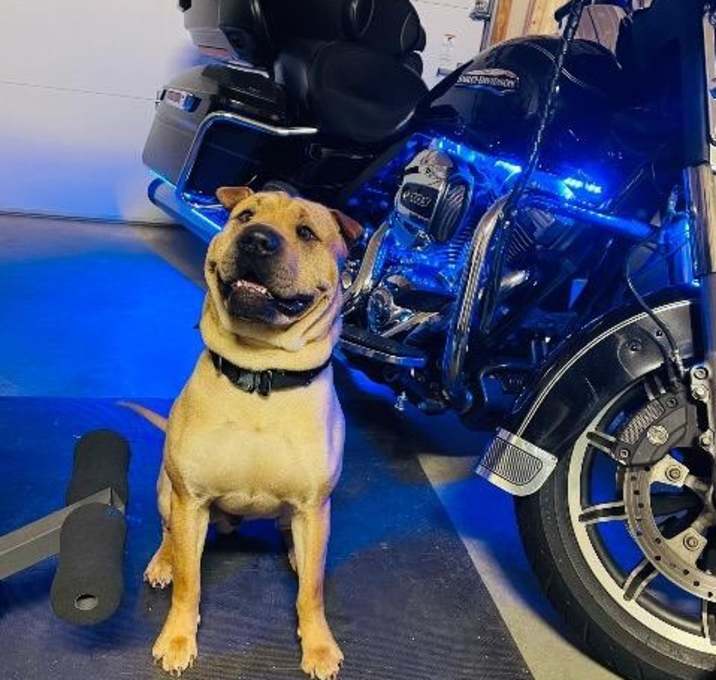 Photo of Tyson