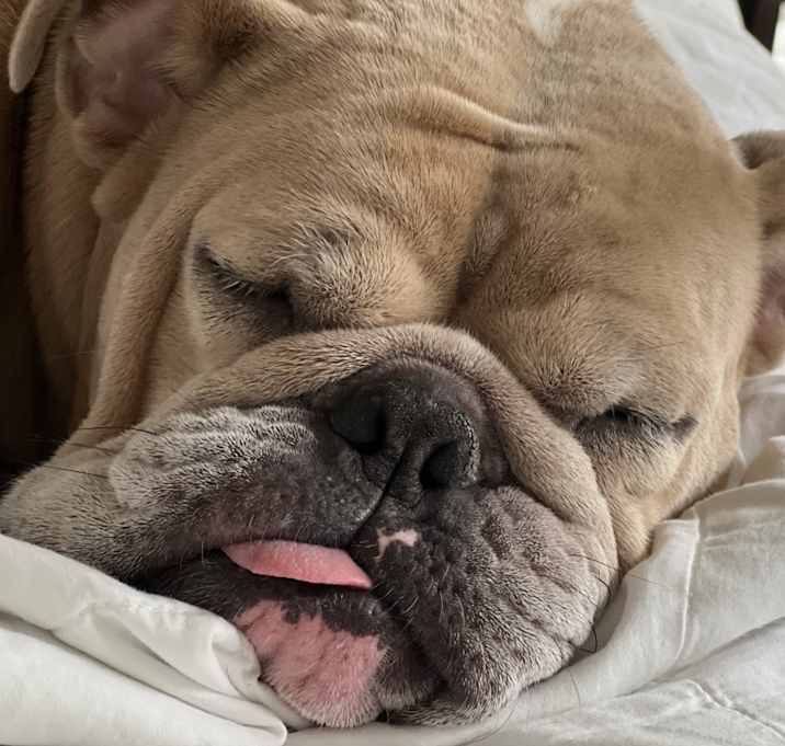 Photo of Grizzy