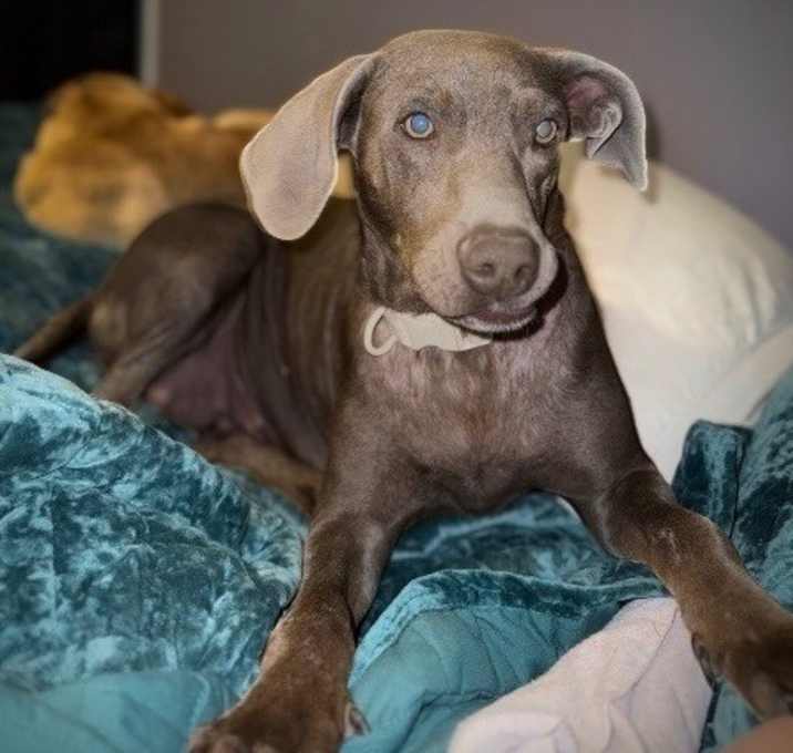 Photo of Myrtle