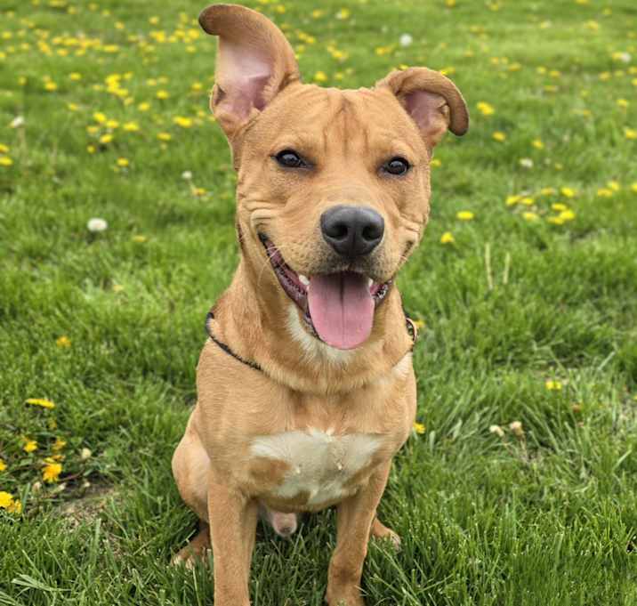Photo of Charlie
