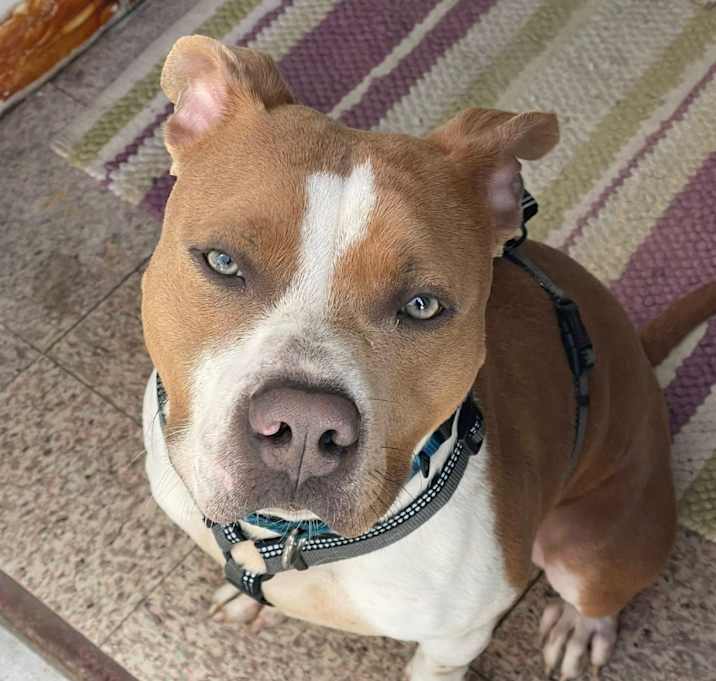 Photo of Skittles