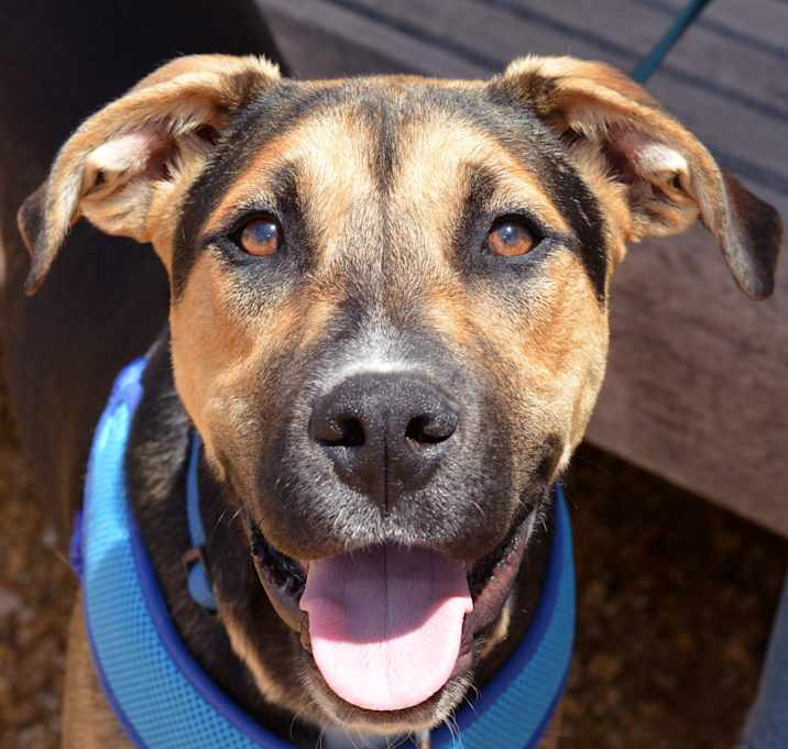 Photo of Koopa