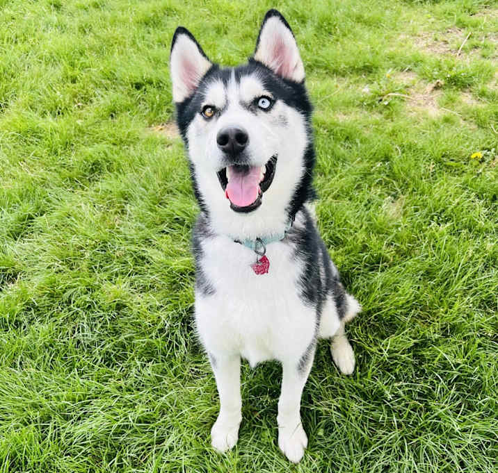 Photo of Colby