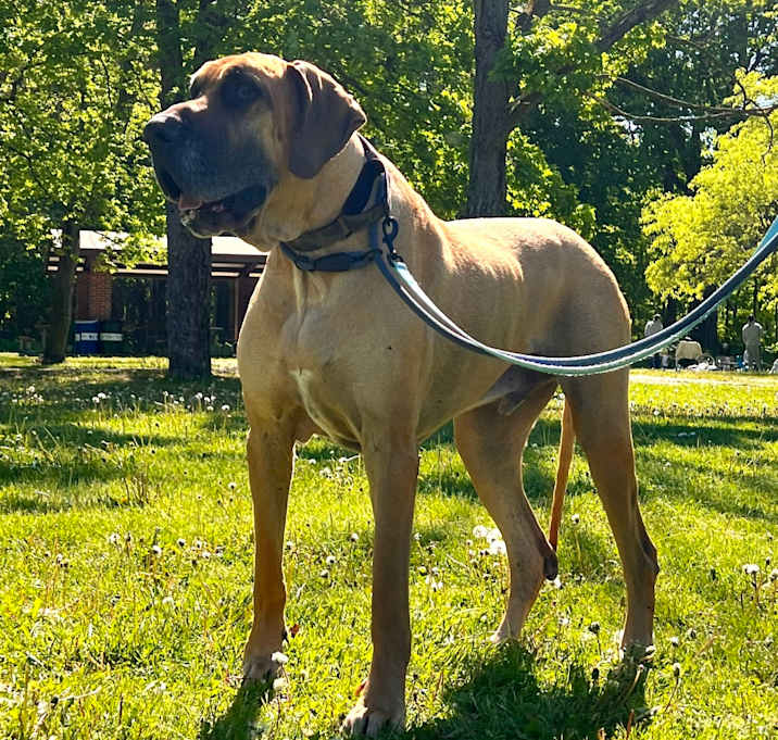 Photo of Thor