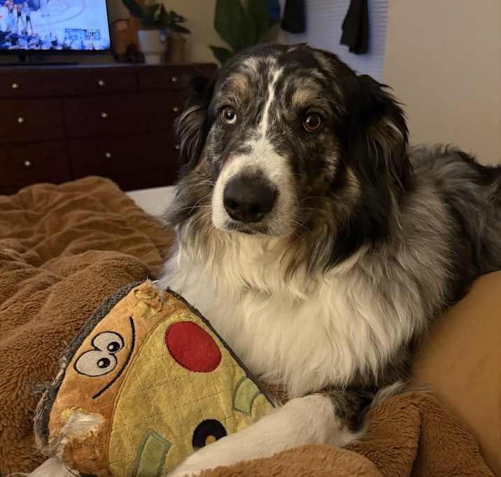 Photo of Gryff