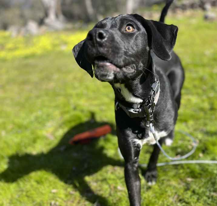Photo of Booger