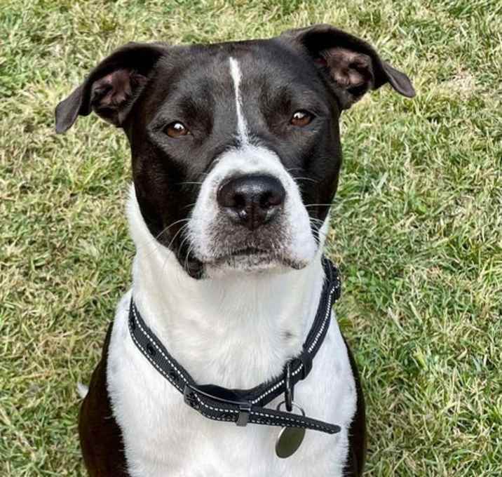 Photo of Lola