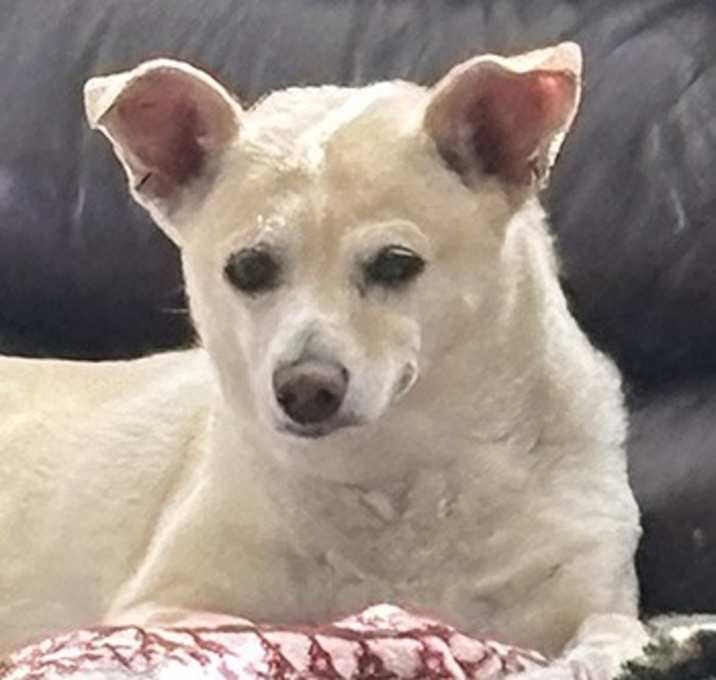Photo of Calypso