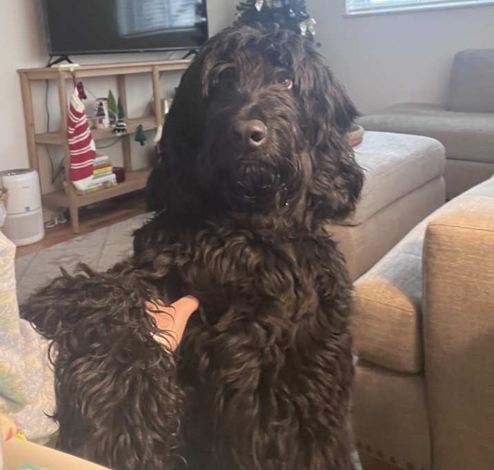 Photo of Finnegan