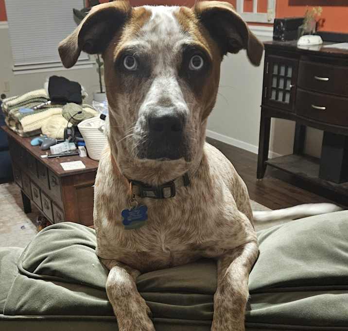 Photo of Button