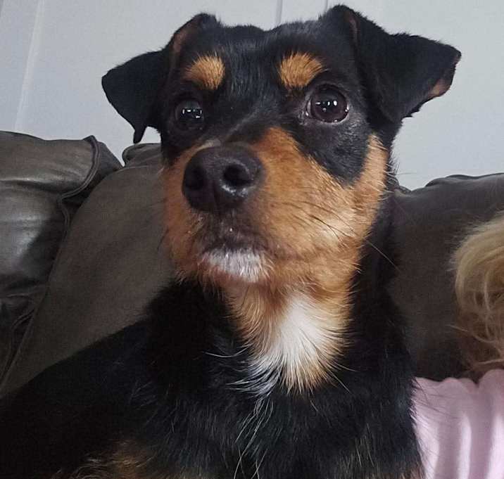 Photo of Rocky