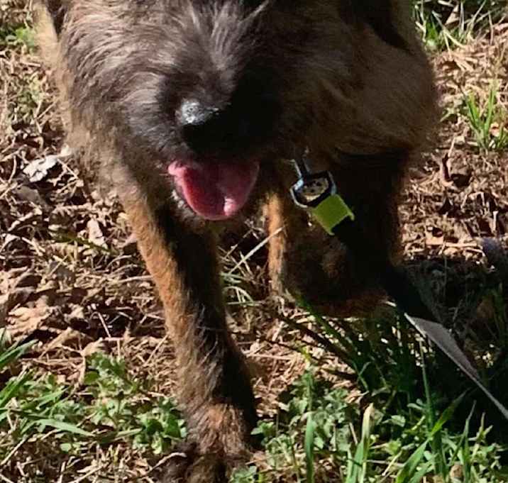 Photo of Rax
