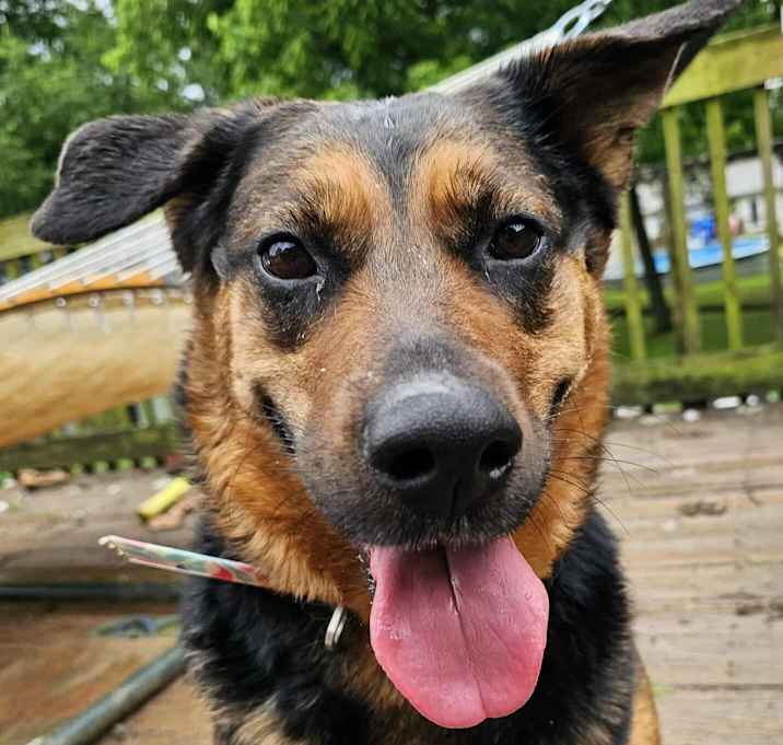 Photo of Farley