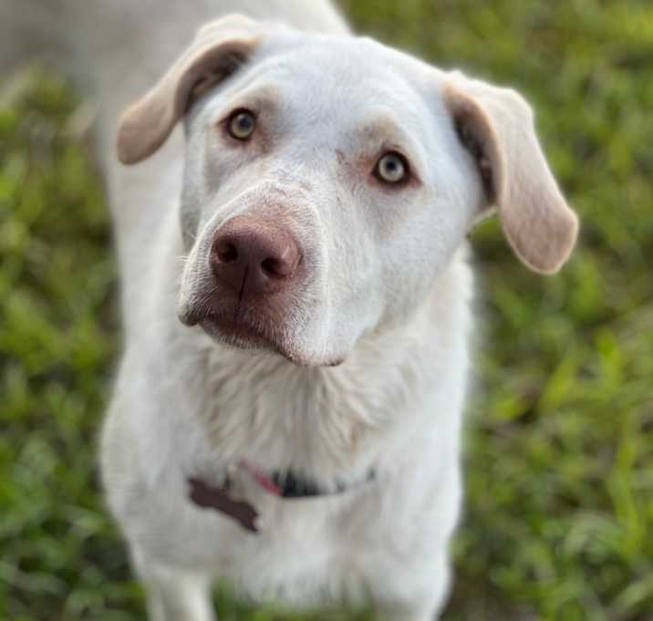 Photo of Phoenix