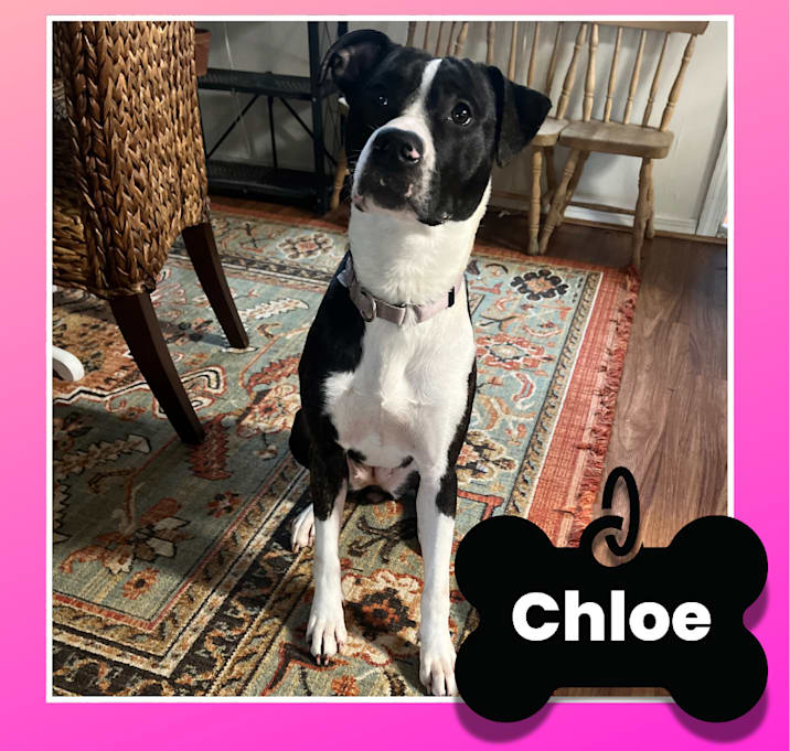 Photo of Chloe